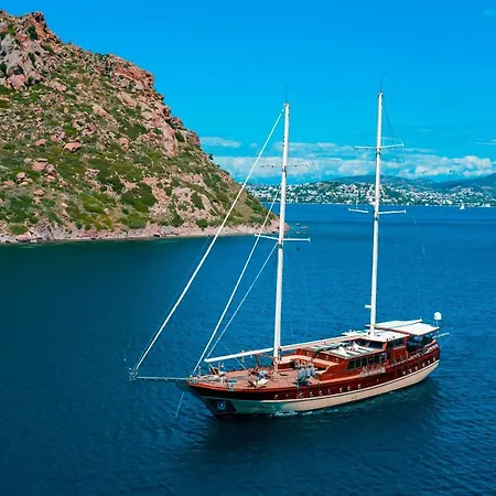 7 Deluxe - A Seductive Blend Of Style And Serenity Vilă